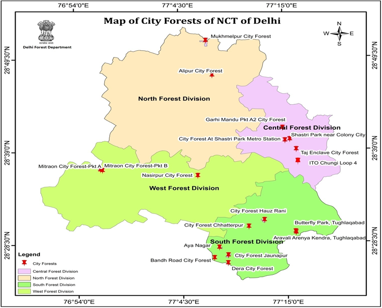 City Forest