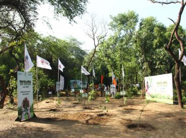 Tree Plantation - Van Mahotsav 2025